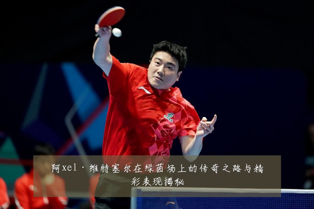 阿xel·维特塞尔在绿茵场上的传奇之路与精彩表现揭秘